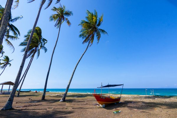 Explorez les merveilles de votre sortie en mer à palawan