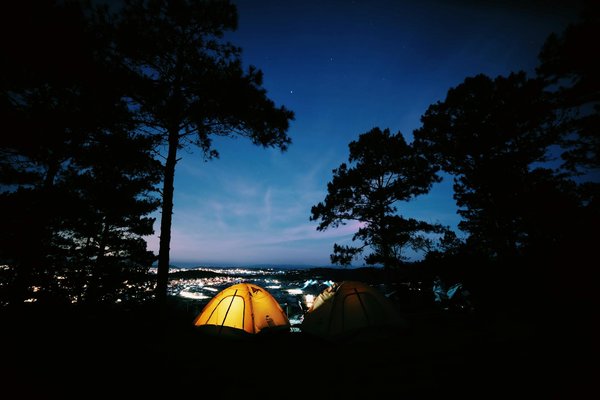 Explorez les Merveilles du Camping dans les Landes avec Votre Compagnon de Voyage : Vivez une Aventure Inoubliable Ensemble !